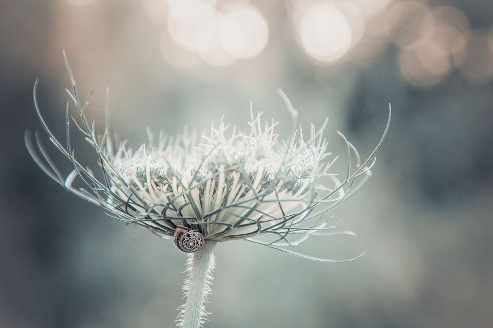 Photograph by Rita Kapitulski