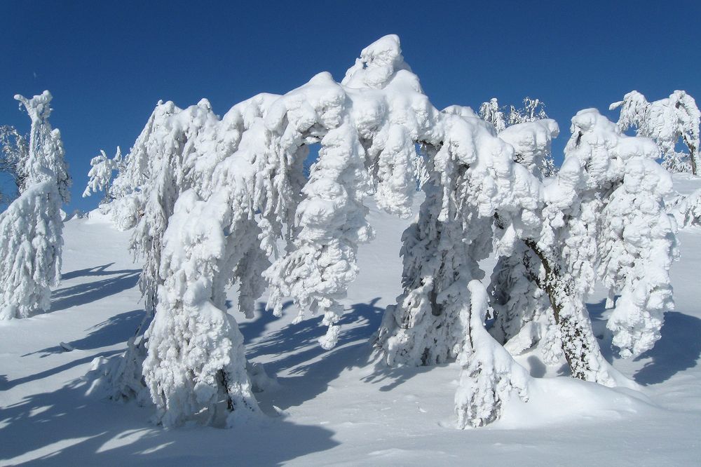 Photograph by Сергей