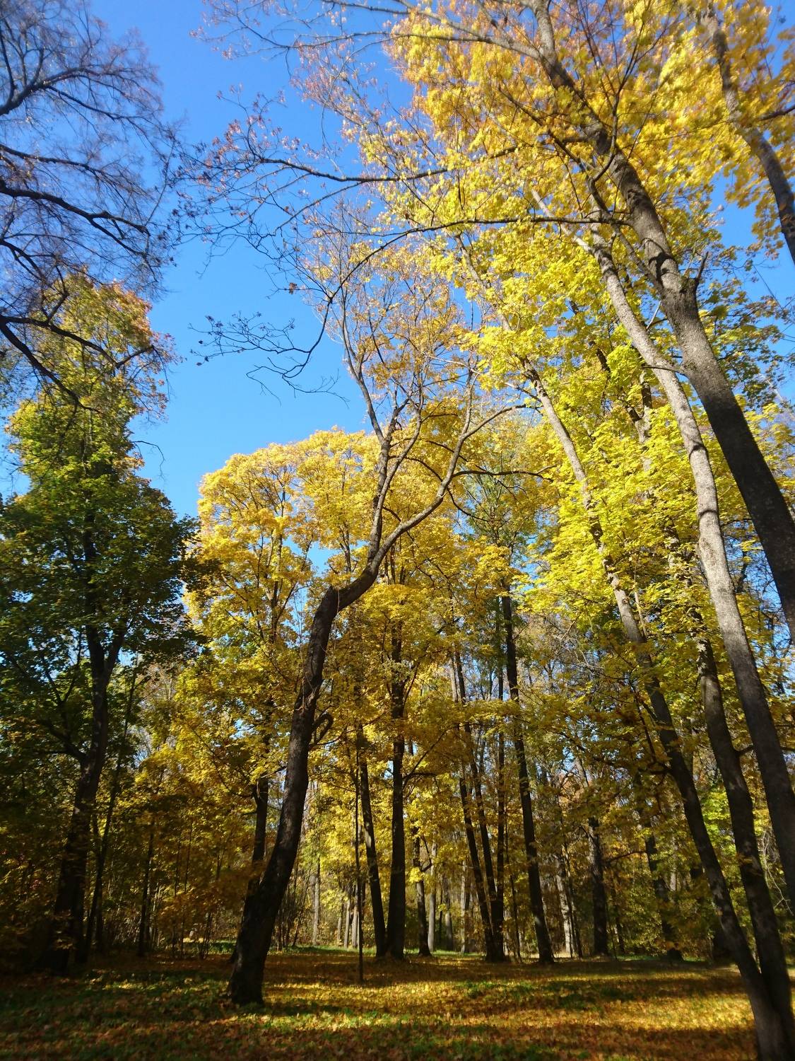Photo #6905022