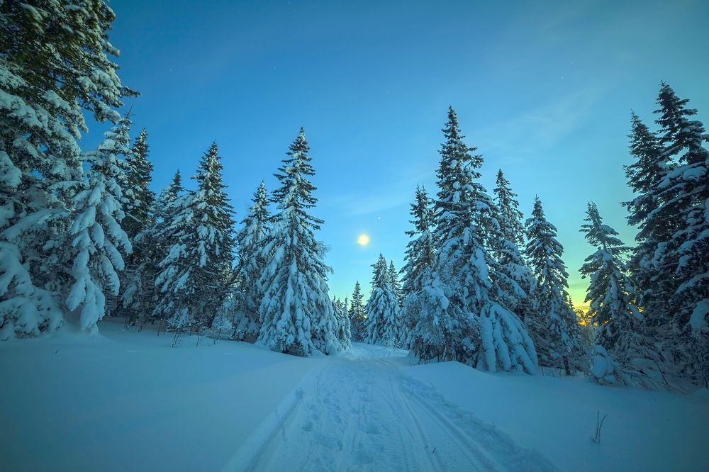 Photograph by Елена Перминова