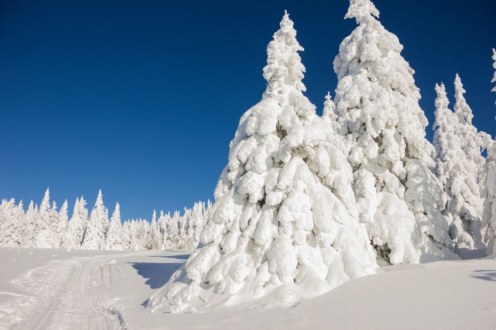 Photograph by Елена Перминова