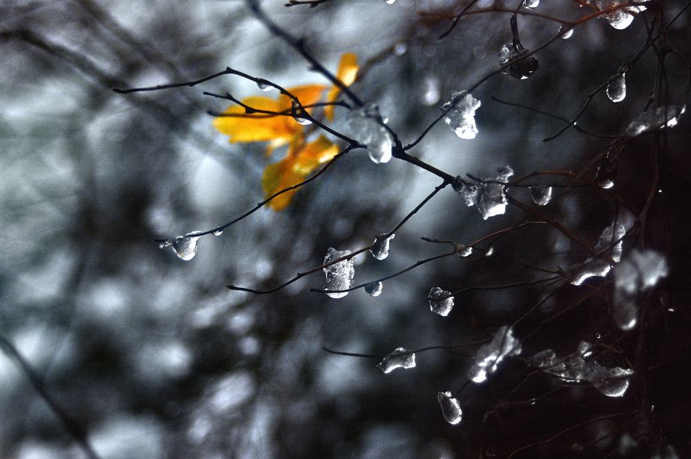 Наступила зима