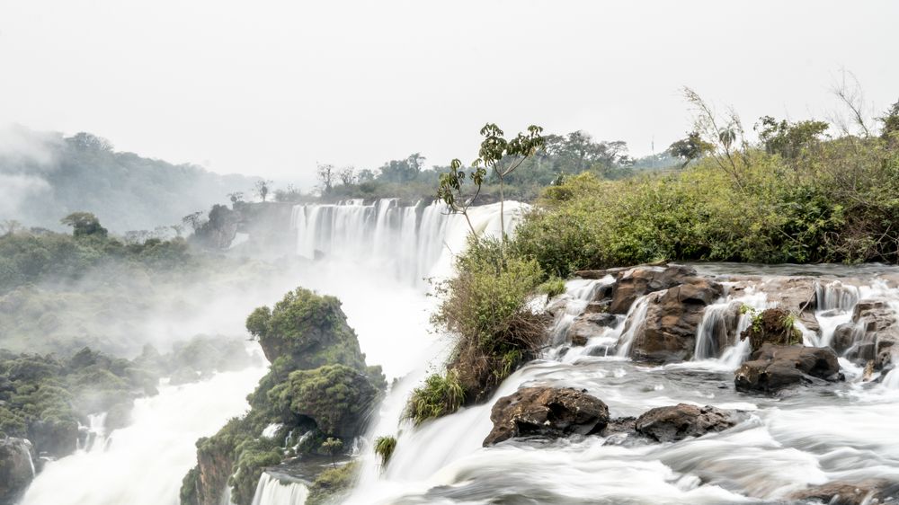 Photograph by Marcelo Balbuena