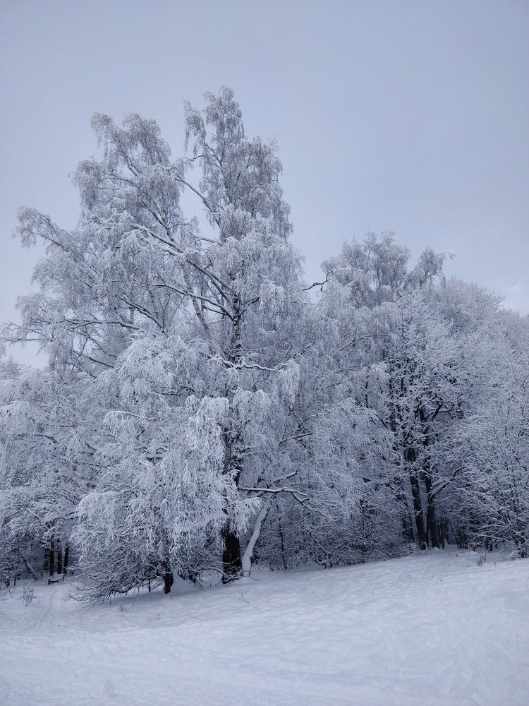 Photograph by Татьяна Тихонова