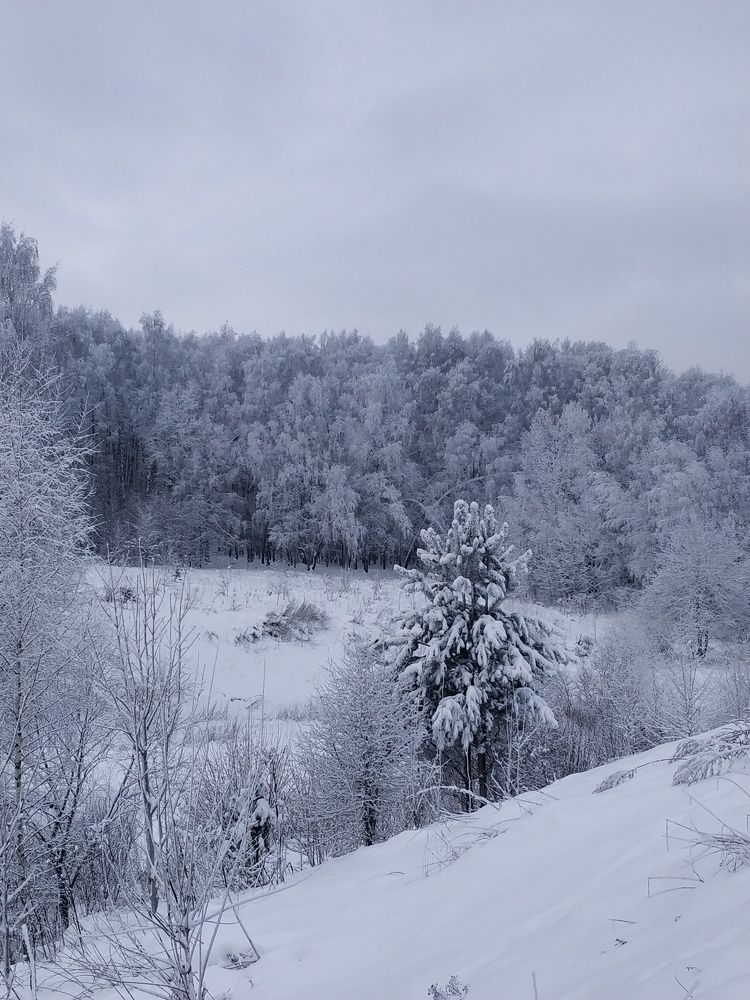 Photograph by Татьяна Тихонова
