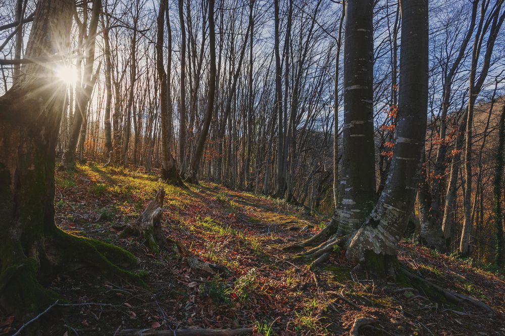 Photograph by Виталий Шкадинов