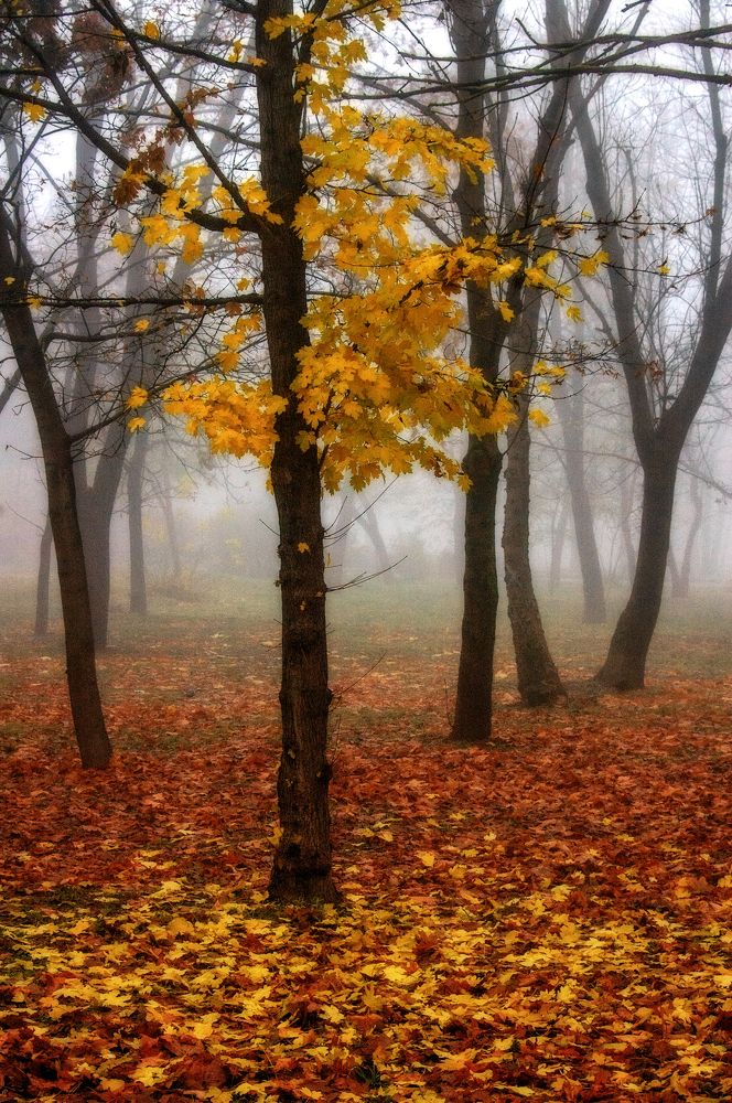 Photograph by Стельян Гаргала