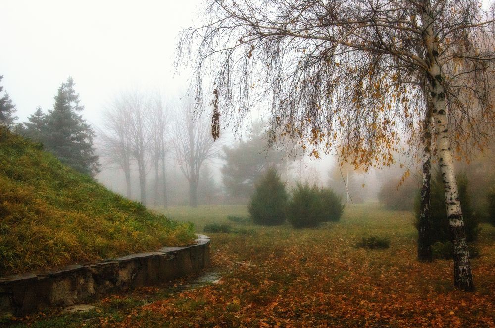 Photograph by Стельян Гаргала