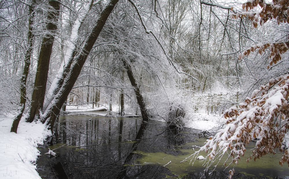 Photograph by Jacky Weckx