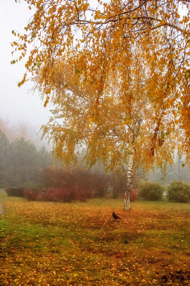 Photograph by Стельян Гаргала