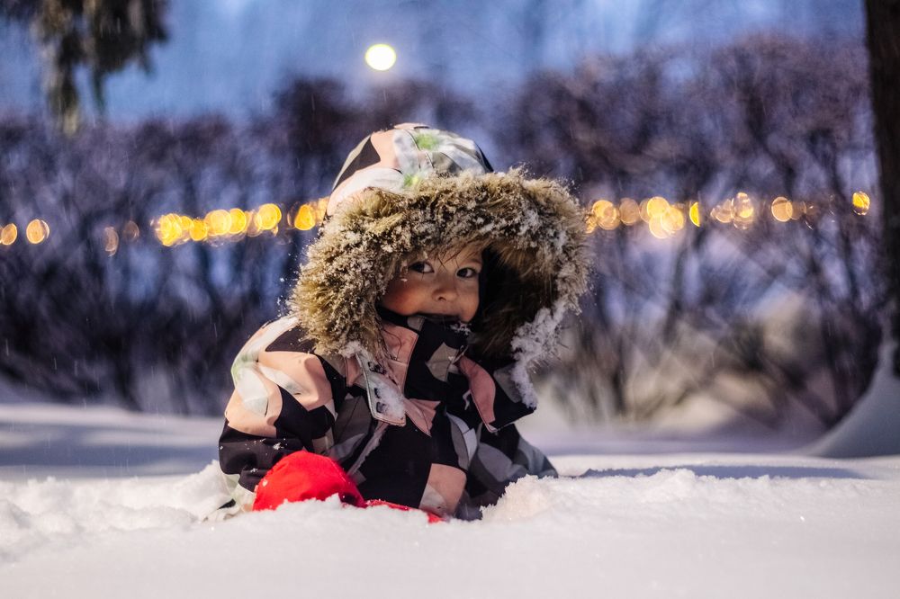 Фотография автора Alexander Komarov