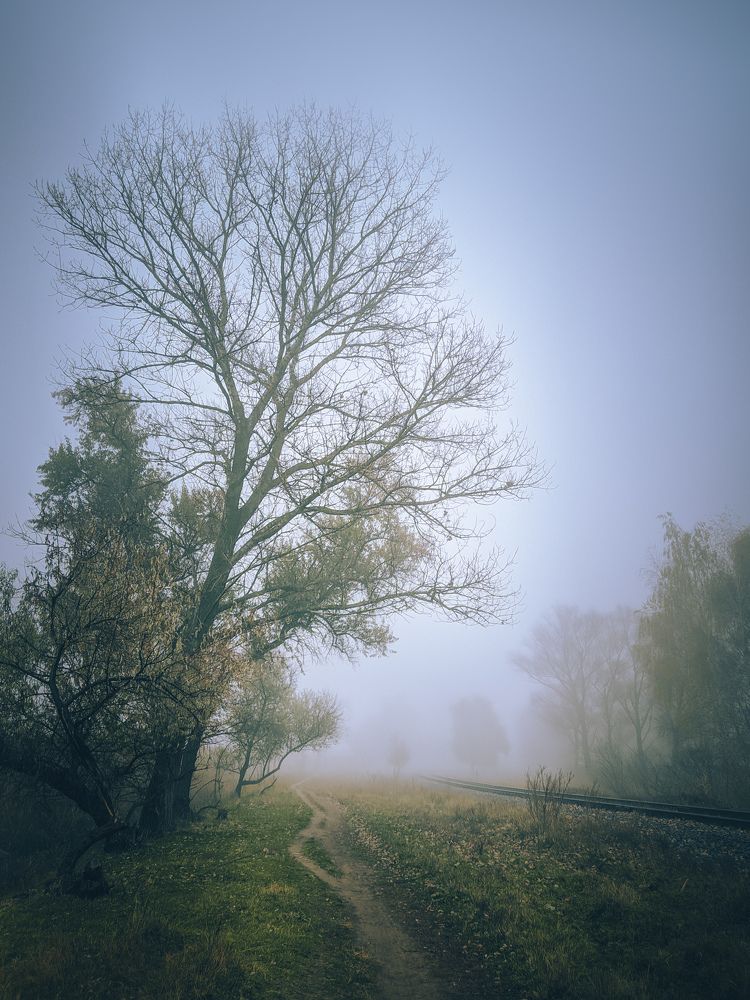 Photograph by Сергей Колос