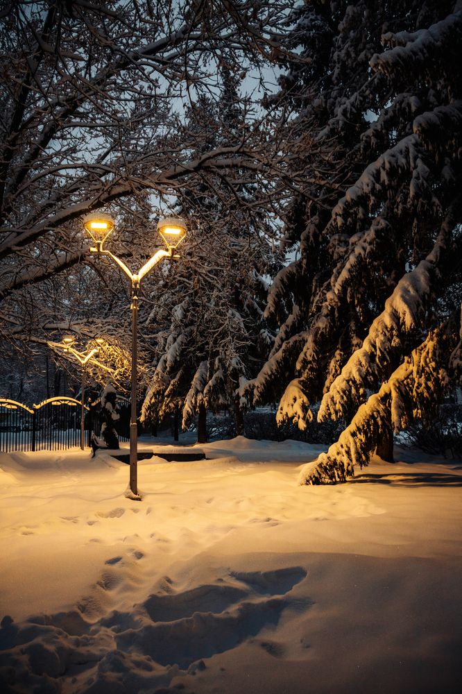 Фотография автора Alexander Komarov