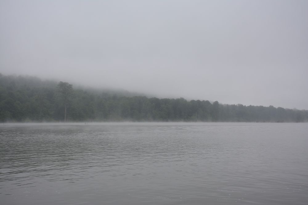 Photograph by Mohammad Amin Ghaffari