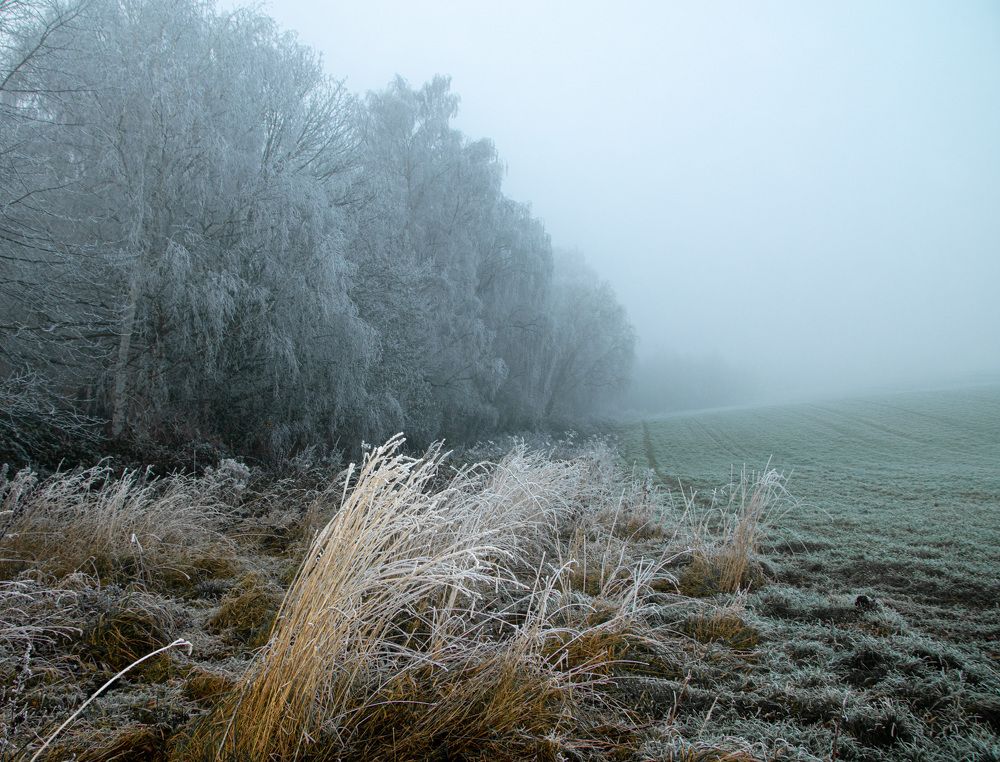Photograph by Vitalii Kaznin