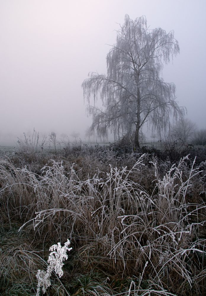 Photograph by Vitalii Kaznin