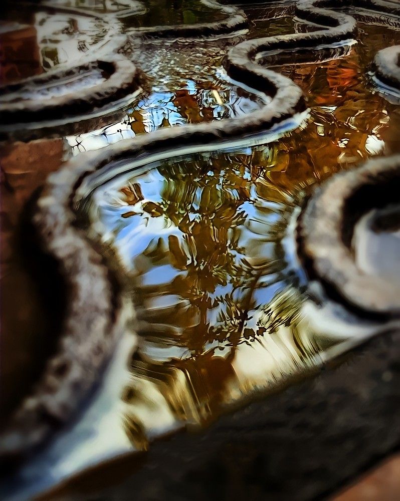 Photograph by Гельфман Галина