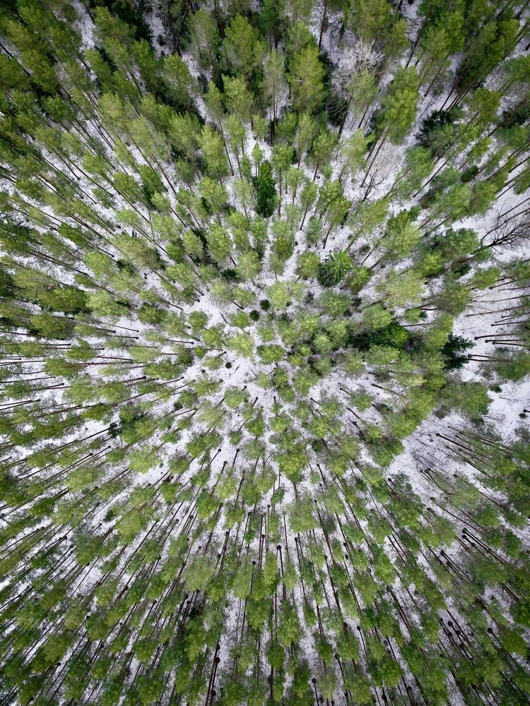 Photograph by Сергей Фаренюк