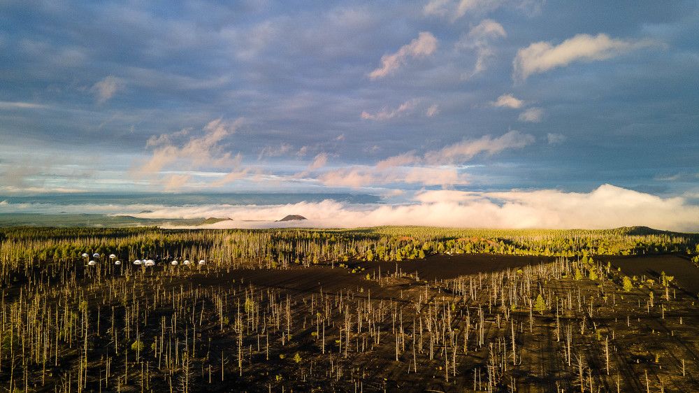 Photograph by Ирина Корнева