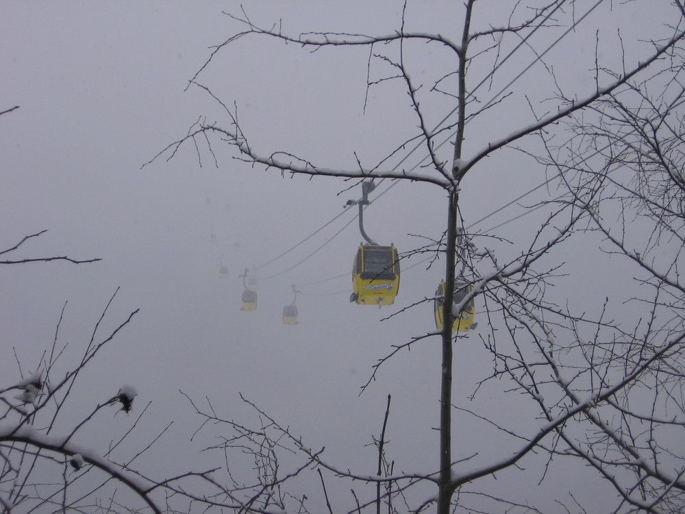 Photograph by Игорь