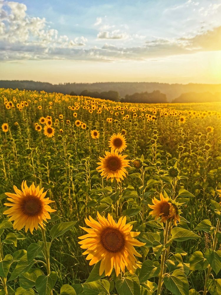 Photograph by Olga Weinberger