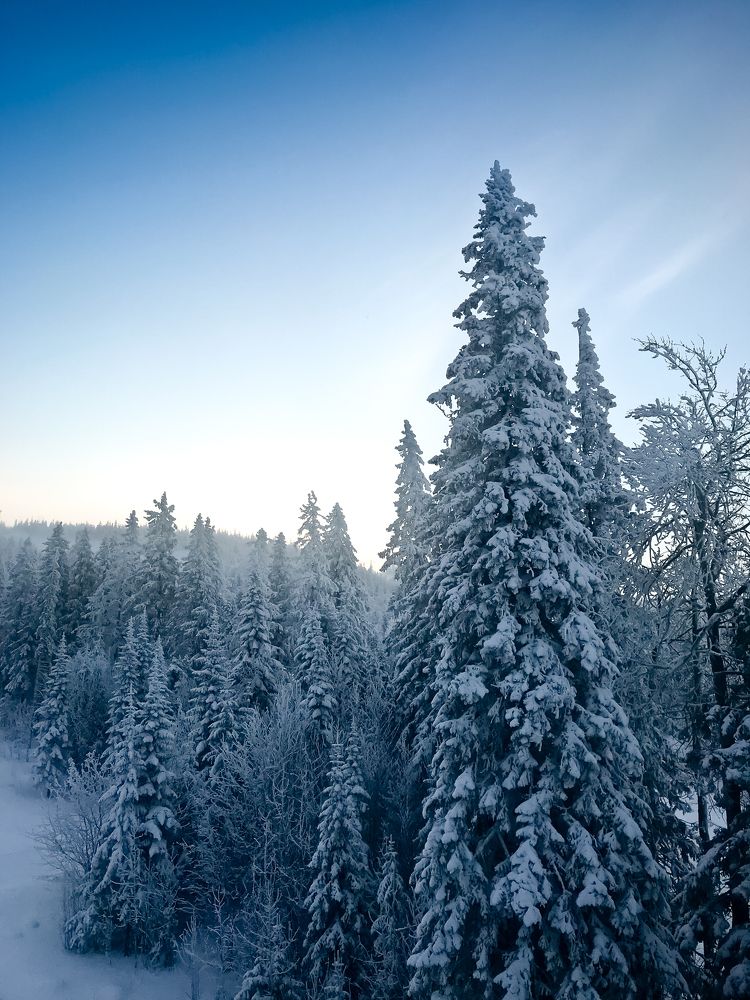 Photograph by Олег Терешкин