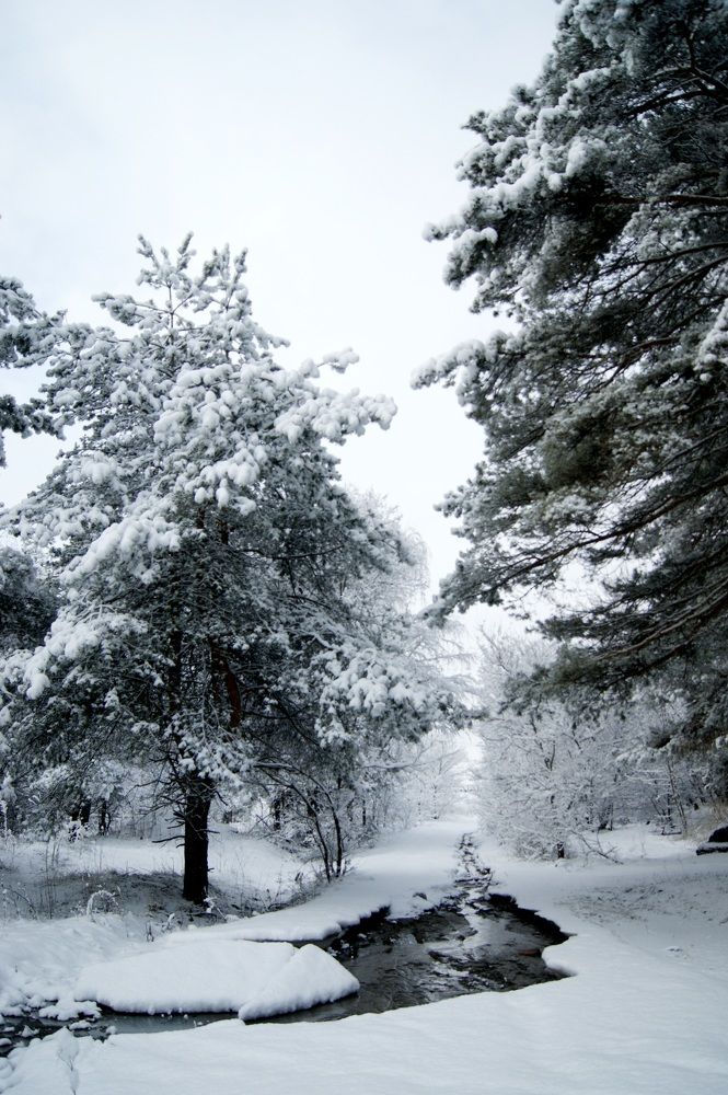 Photograph by Андрей Хитрун