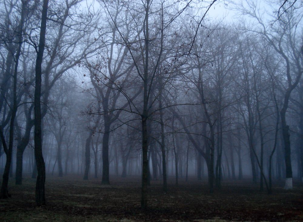 Photograph by София Гавриловна Вотякова