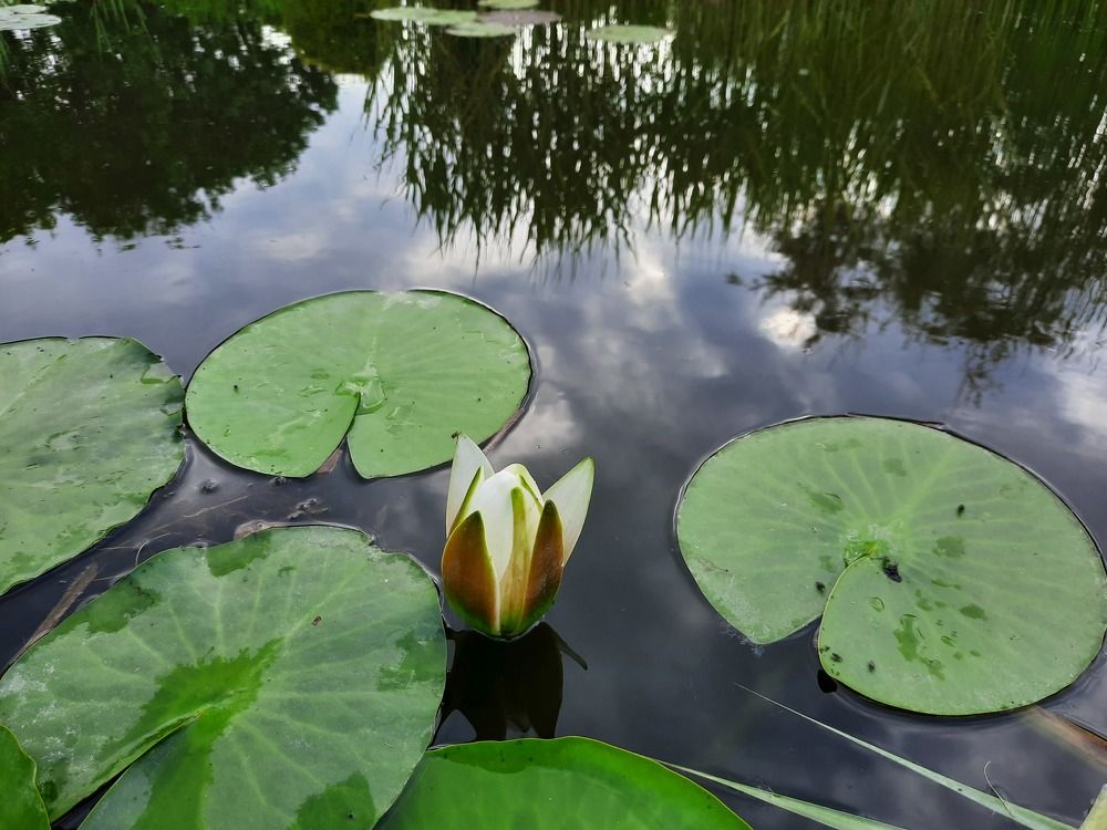 Photograph by Vitalie