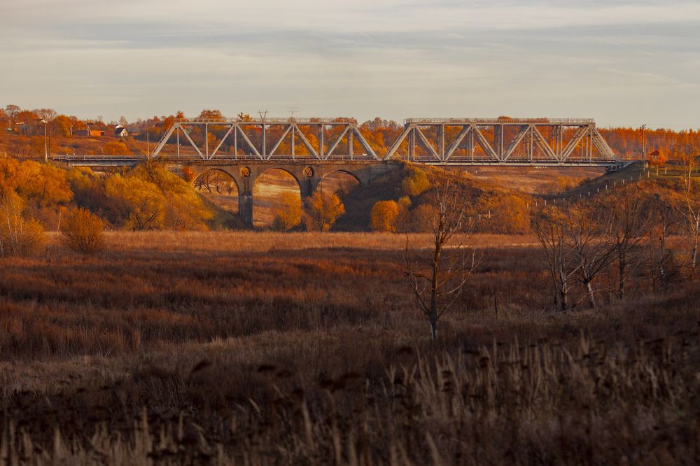 Photograph by Александр Евстигнеев