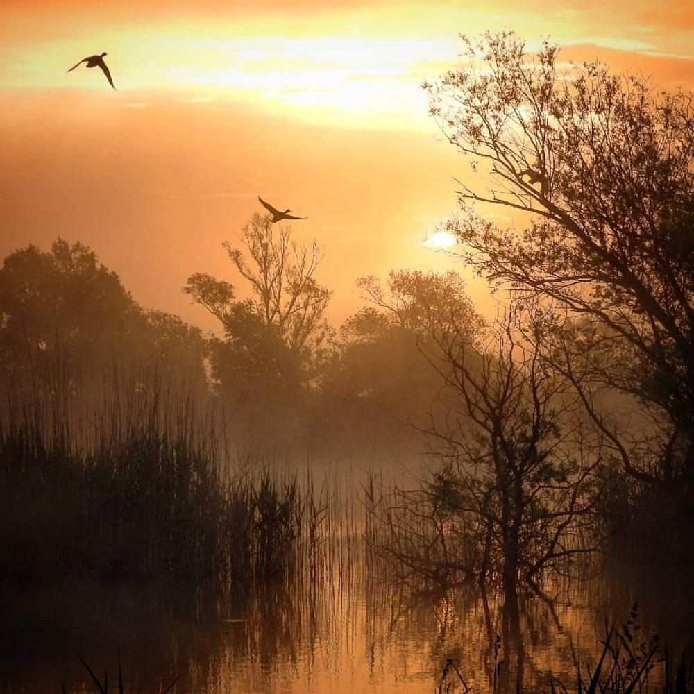 Фотография автора Bastini Gabriele