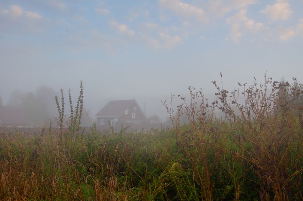 Photograph by Анна Малина