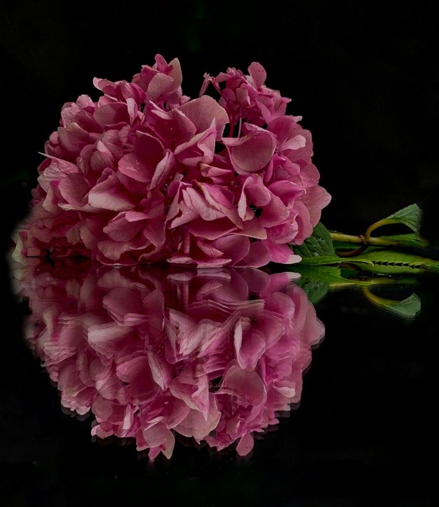 Photograph by Логинова Наталия