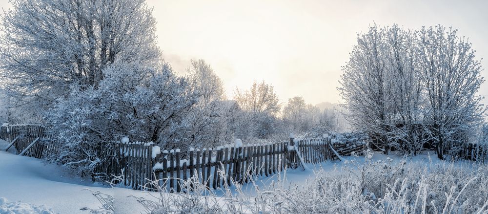 Photograph by Светлана Ващенко