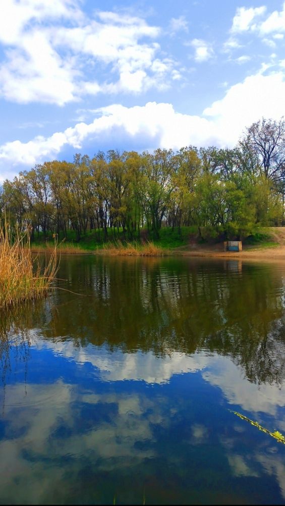 Отражение над водой