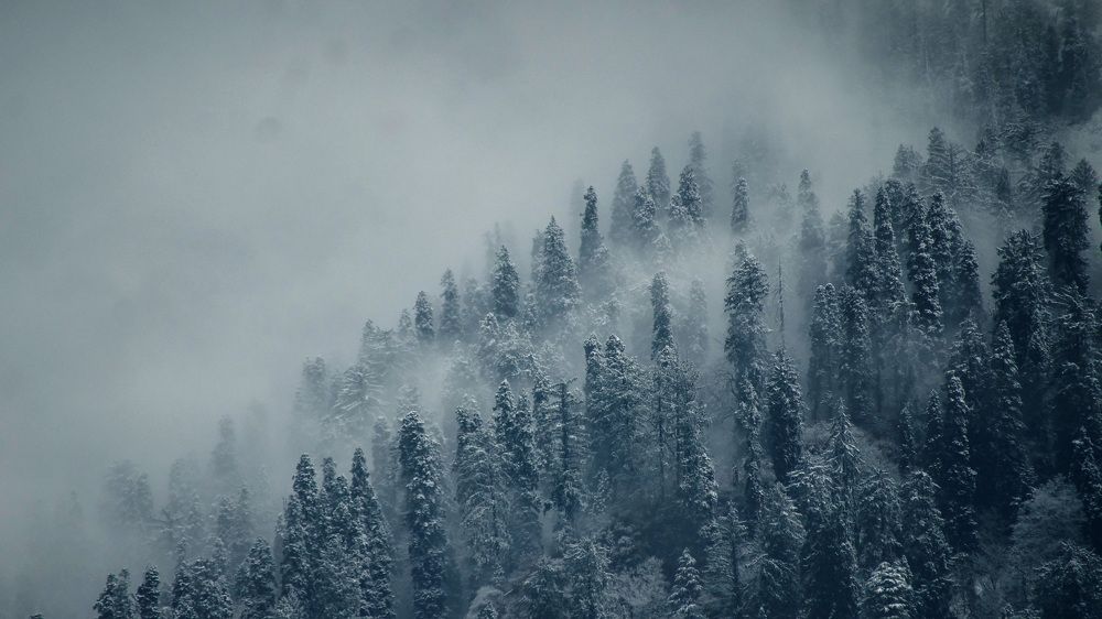 Фотография автора Artist RajNandini