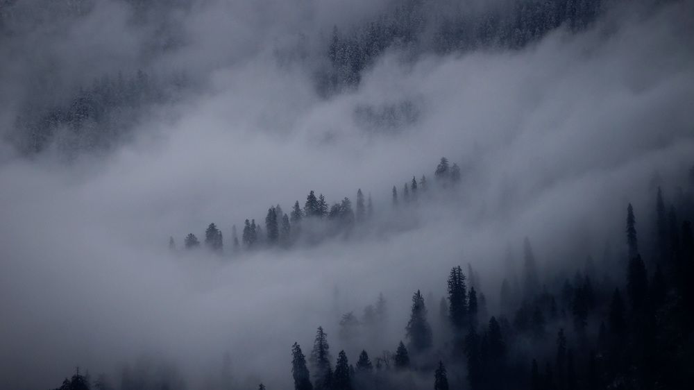 Фотография автора Artist RajNandini