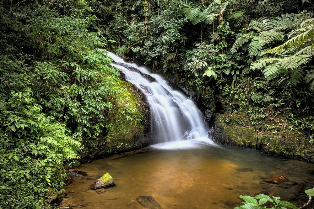 Photograph by Eduardo Bom