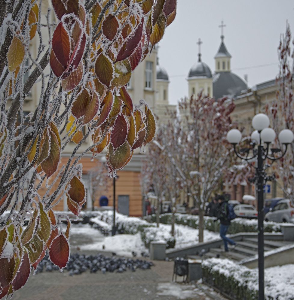 Photograph by Давид Тетельман