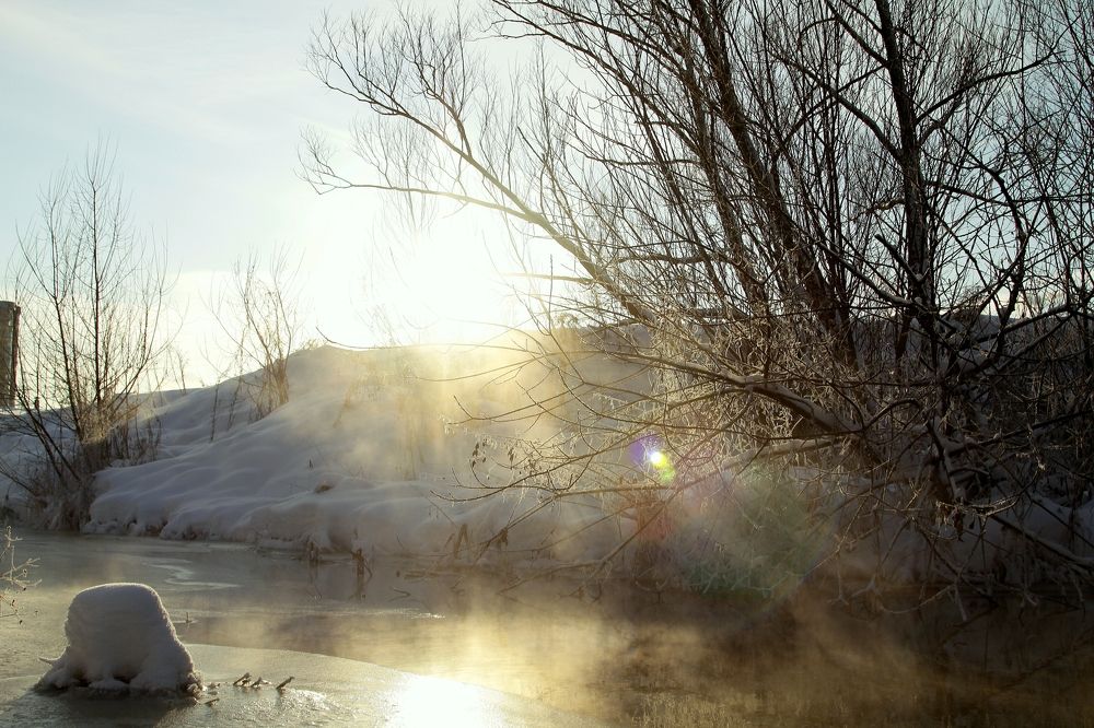 Photograph by Александр Лямцев