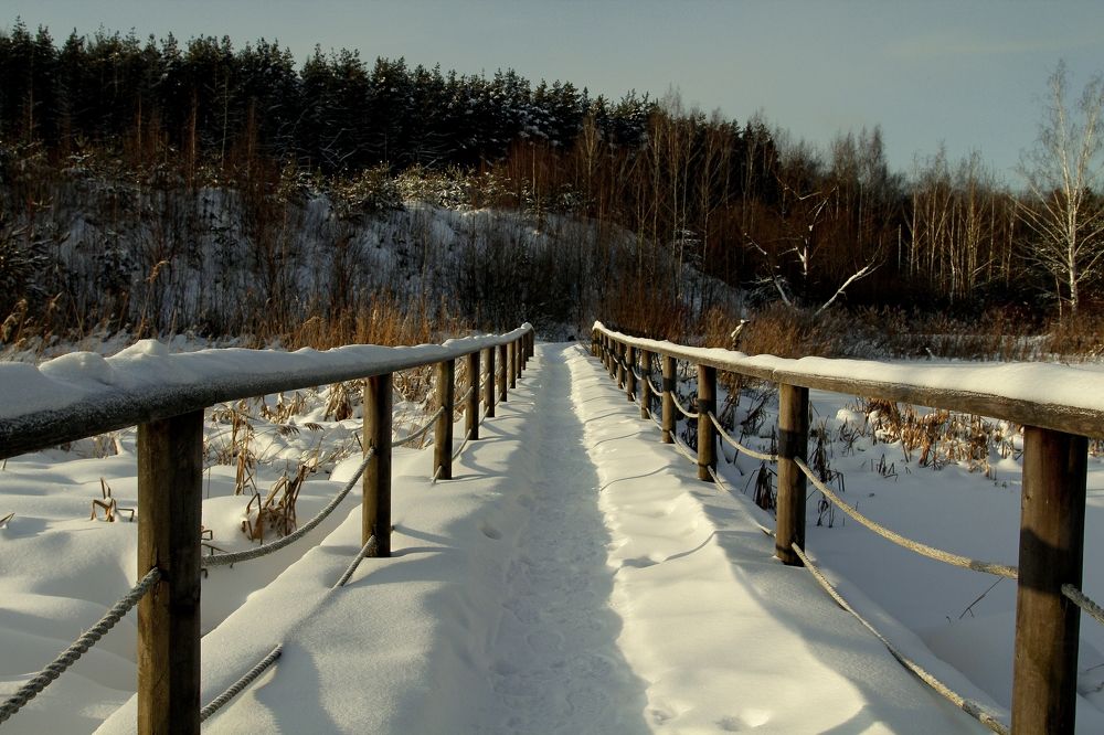 Photograph by Александр Лямцев