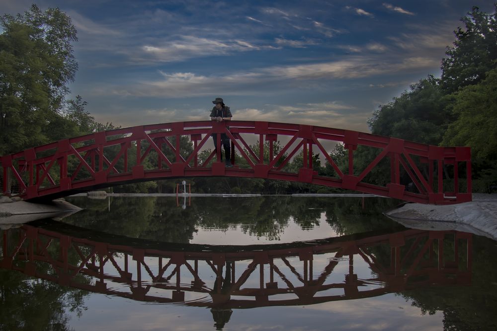 Photograph by negar zomorrod