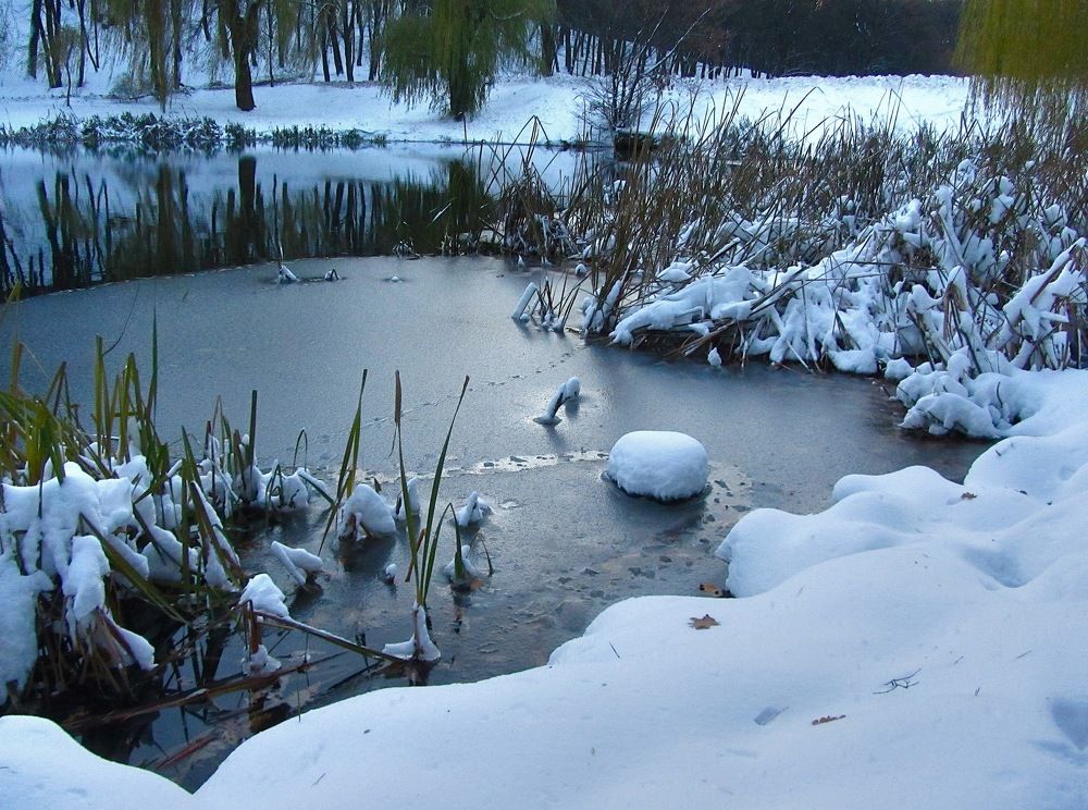 Photograph by Виктор