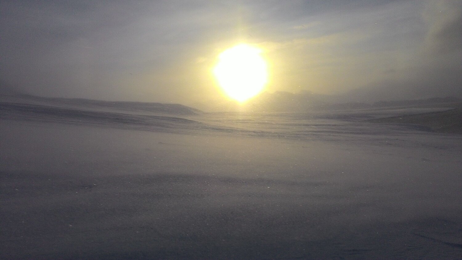Photo #6905593