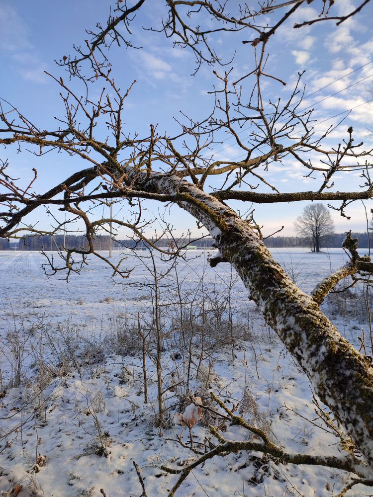 Photograph by Оксана