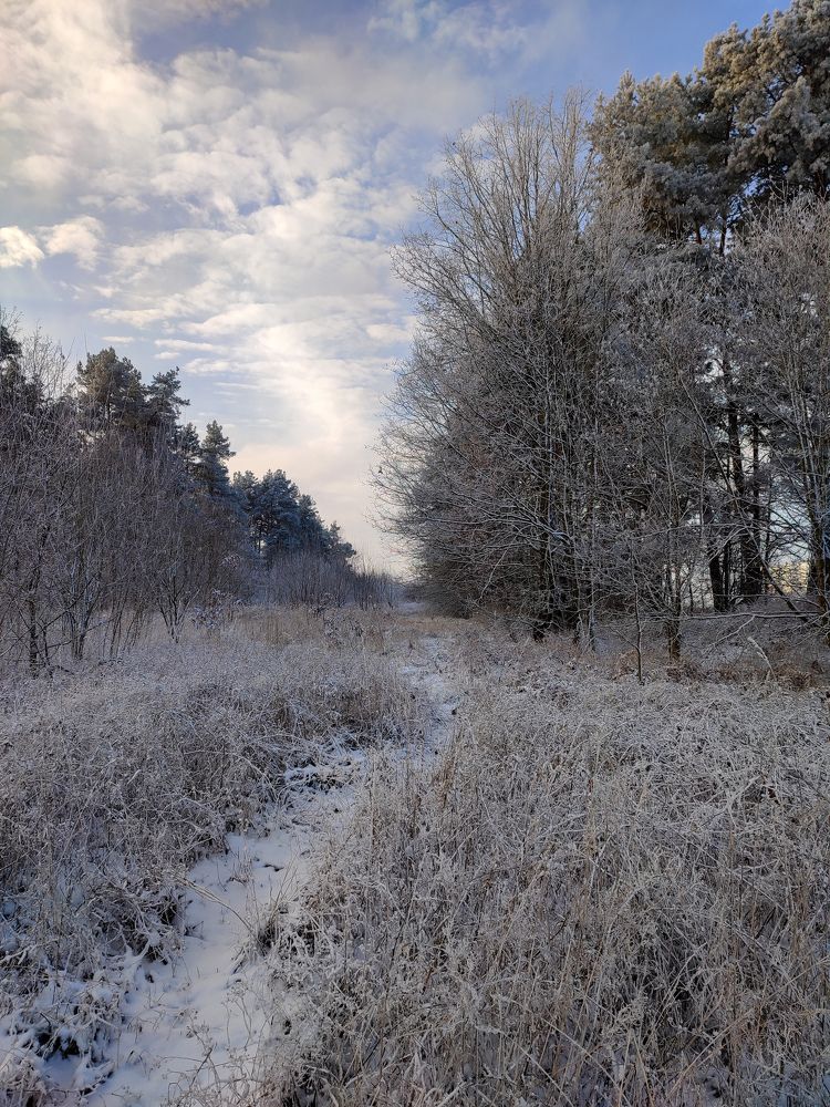 Photograph by Оксана