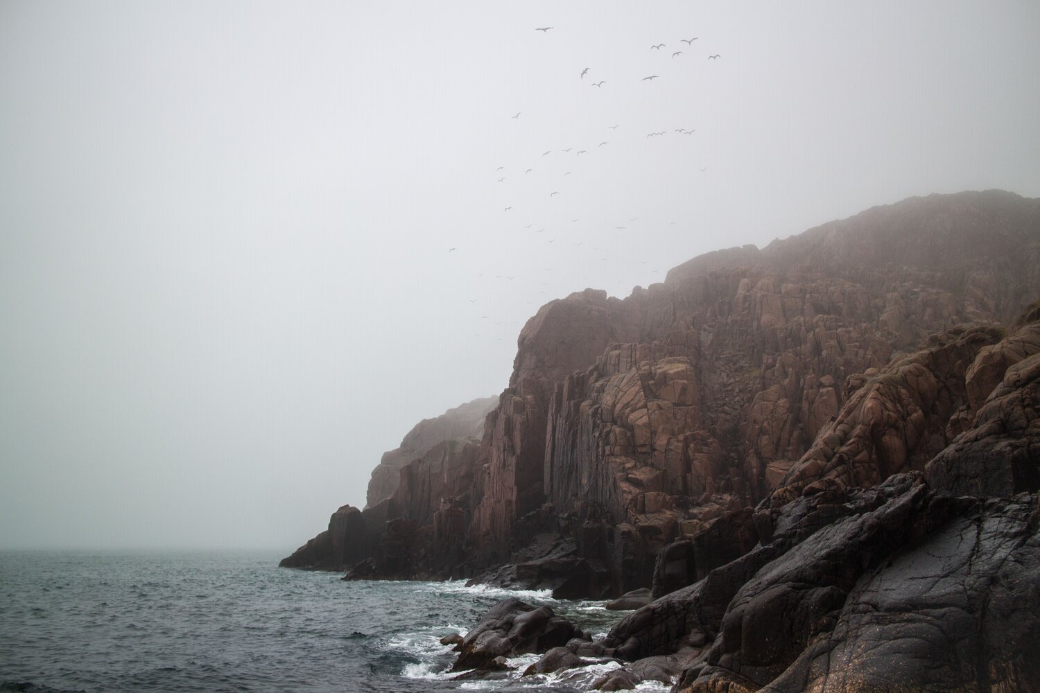 Photo #6905614