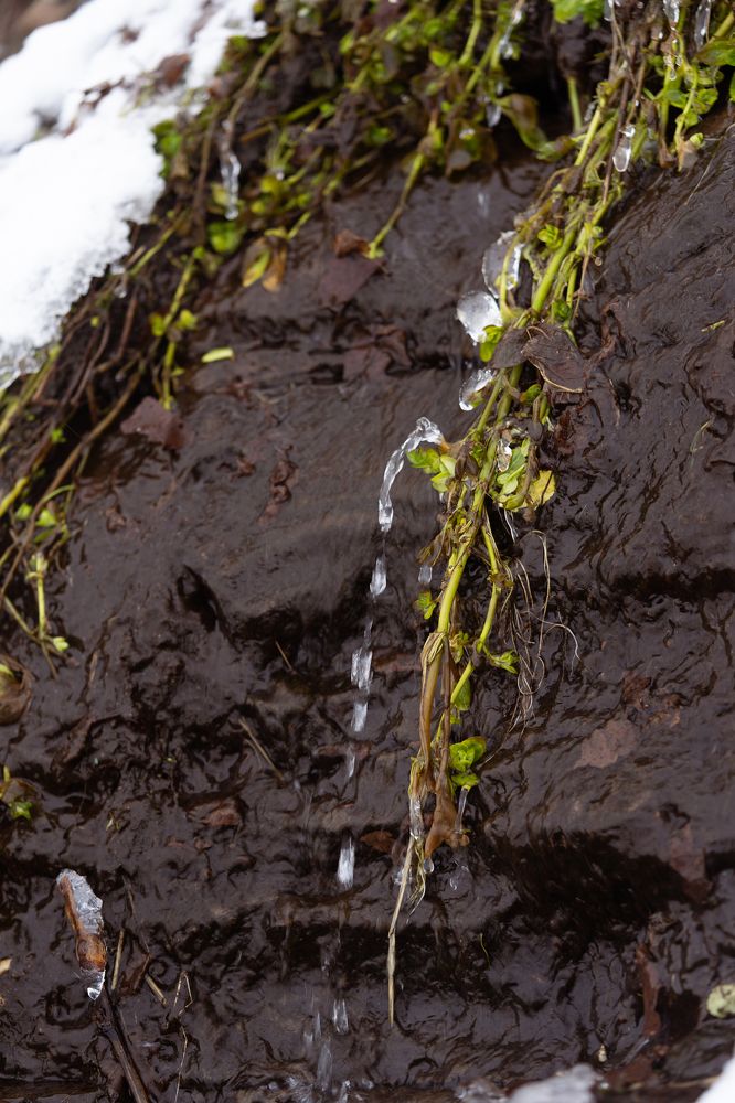 Photograph by Александра Чистякова