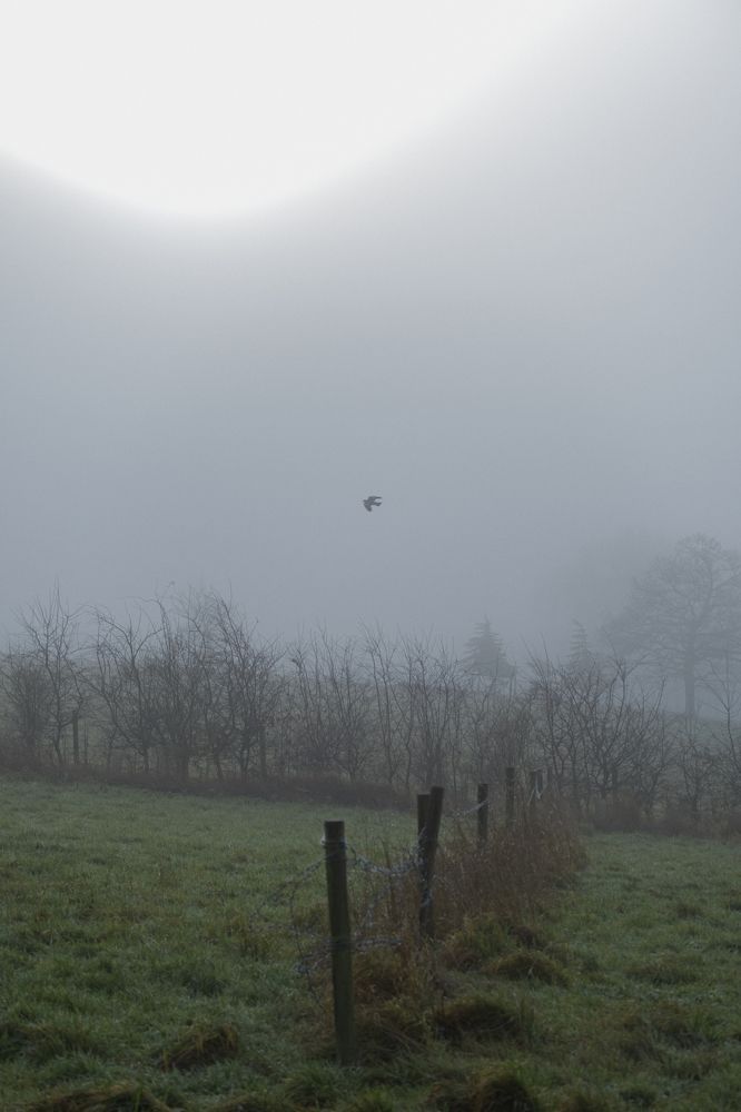 Photograph by Майя Коваль