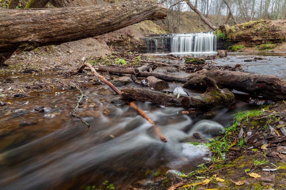 Фотография автора Анатолий Гарин